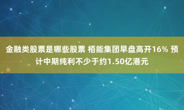 金融类股票是哪些股票 栢能集团早盘高开16% 预计中期纯利不少于约1.50亿港元