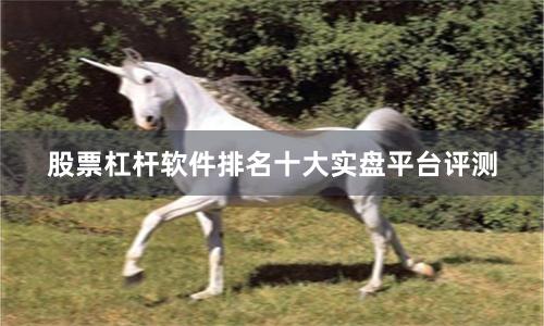 股票杠杆软件排名十大实盘平台评测