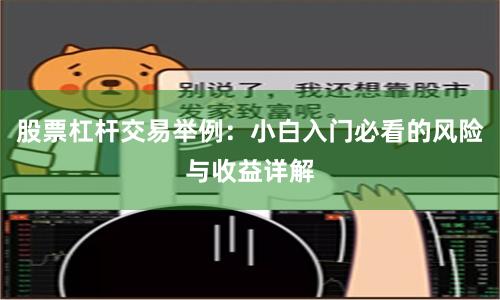 股票杠杆交易举例：小白入门必看的风险与收益详解